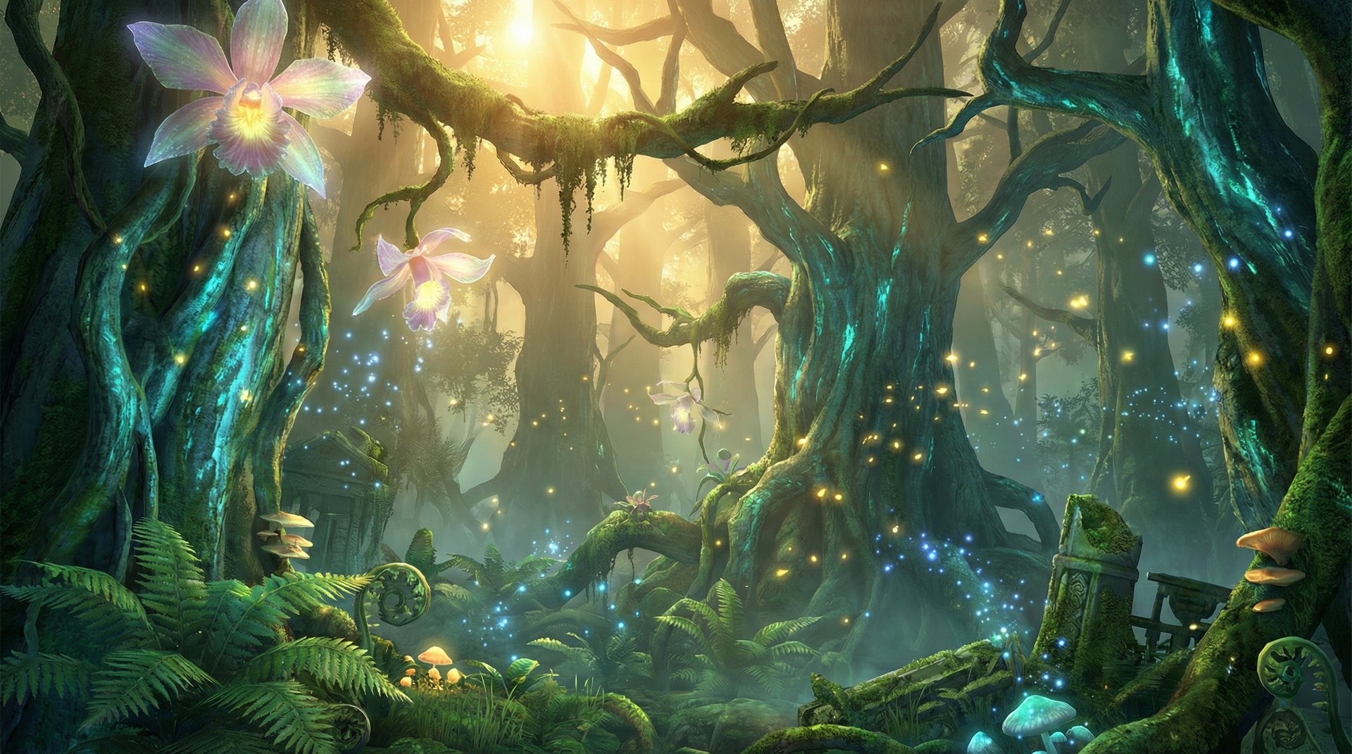 四爱天山雪岭云杉探秘植物视频